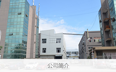 公司簡介(jiè)