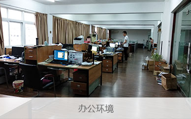 公(gōng)司簡介